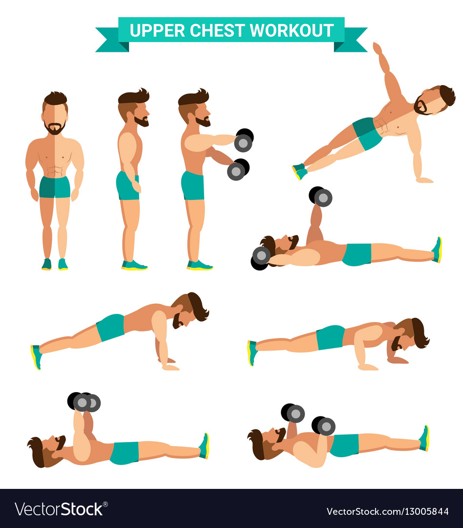 Chest Exercise Chart Pdf