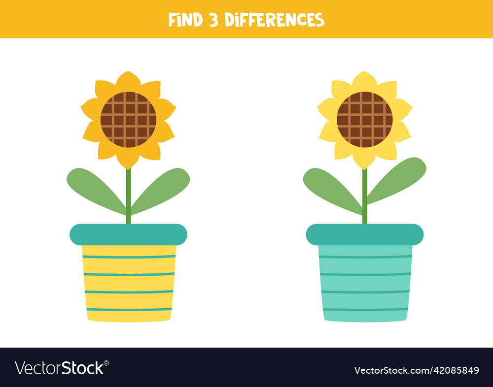 Find three differences between two sunflowers in Vector Image