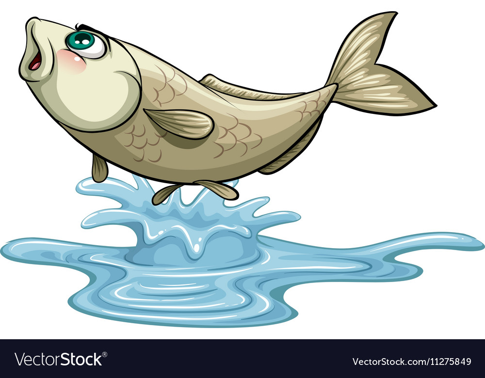 Fish jumping out on water surface Royalty Free Vector Image