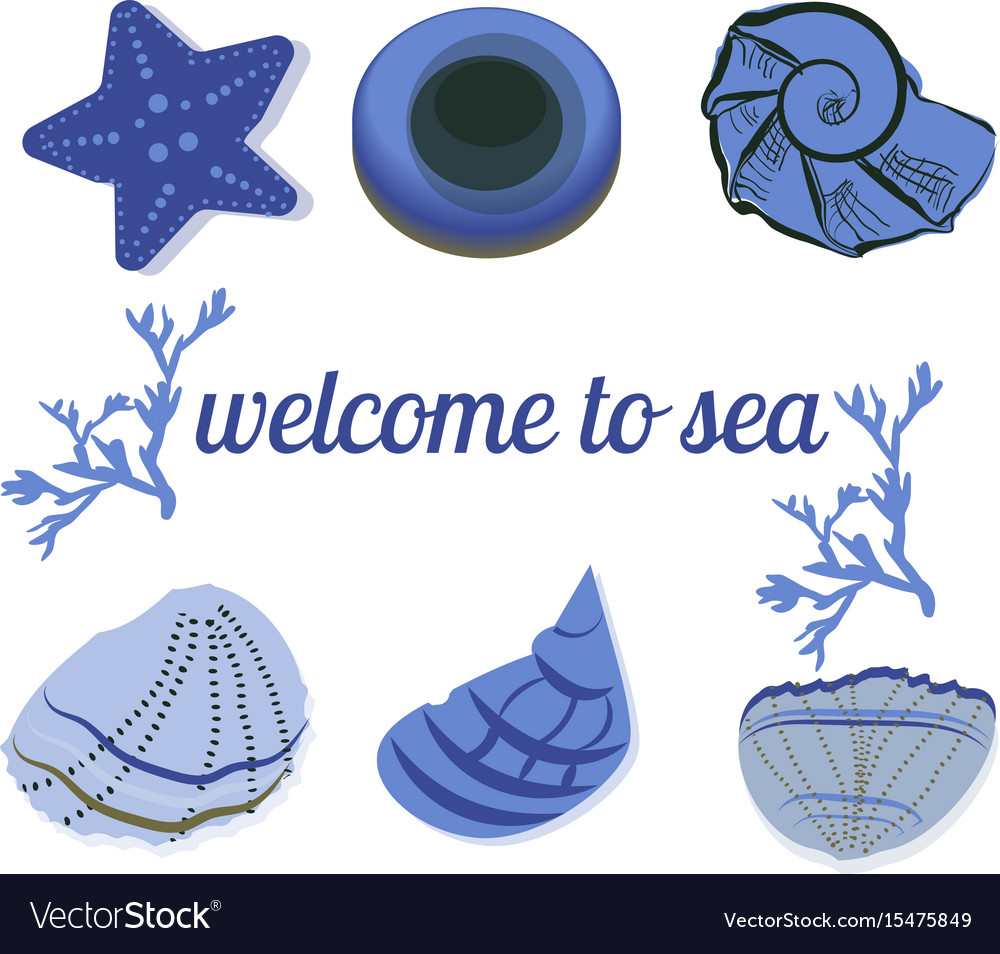 Seashells in blue with text as a background