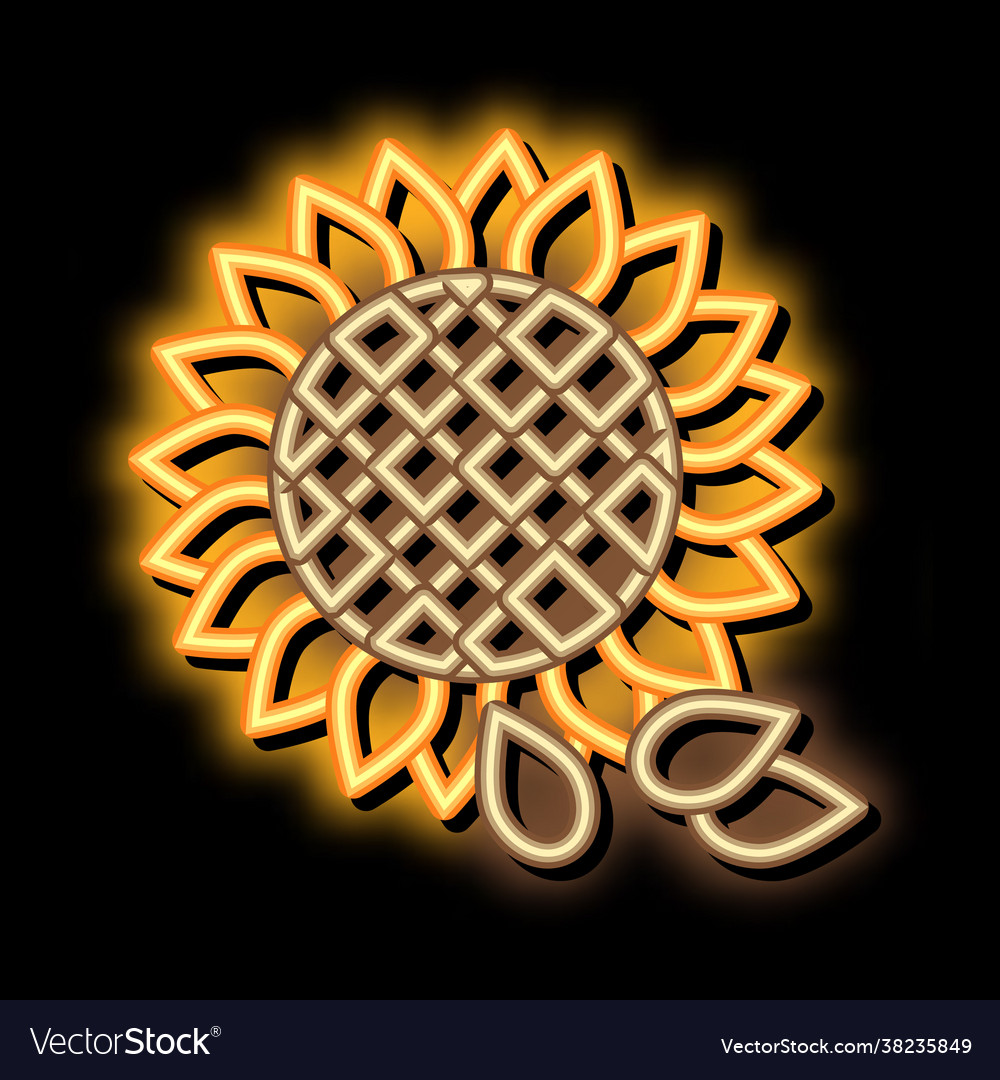 Sunflower seeds icon outline