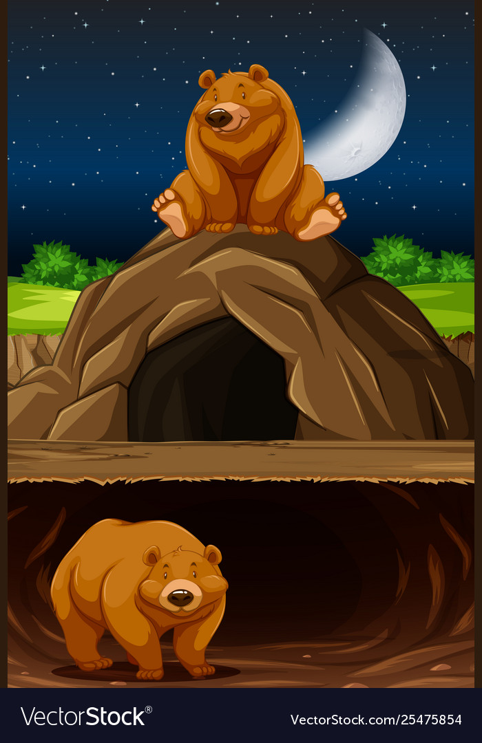 Bear at cave Royalty Free Vector Image - VectorStock