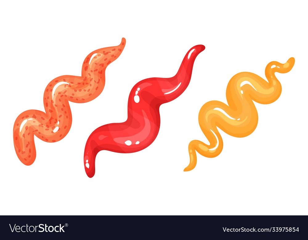 Different sauce splashes squeezed from bottles vector image Different sauce splashes squeezed from bottles