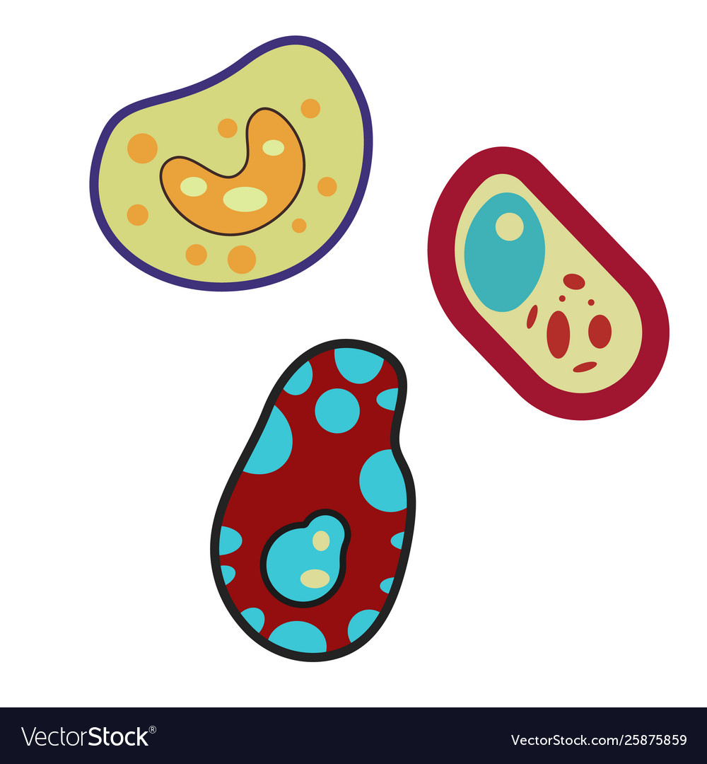 Bacteria flat design graphic Royalty Free Vector Image