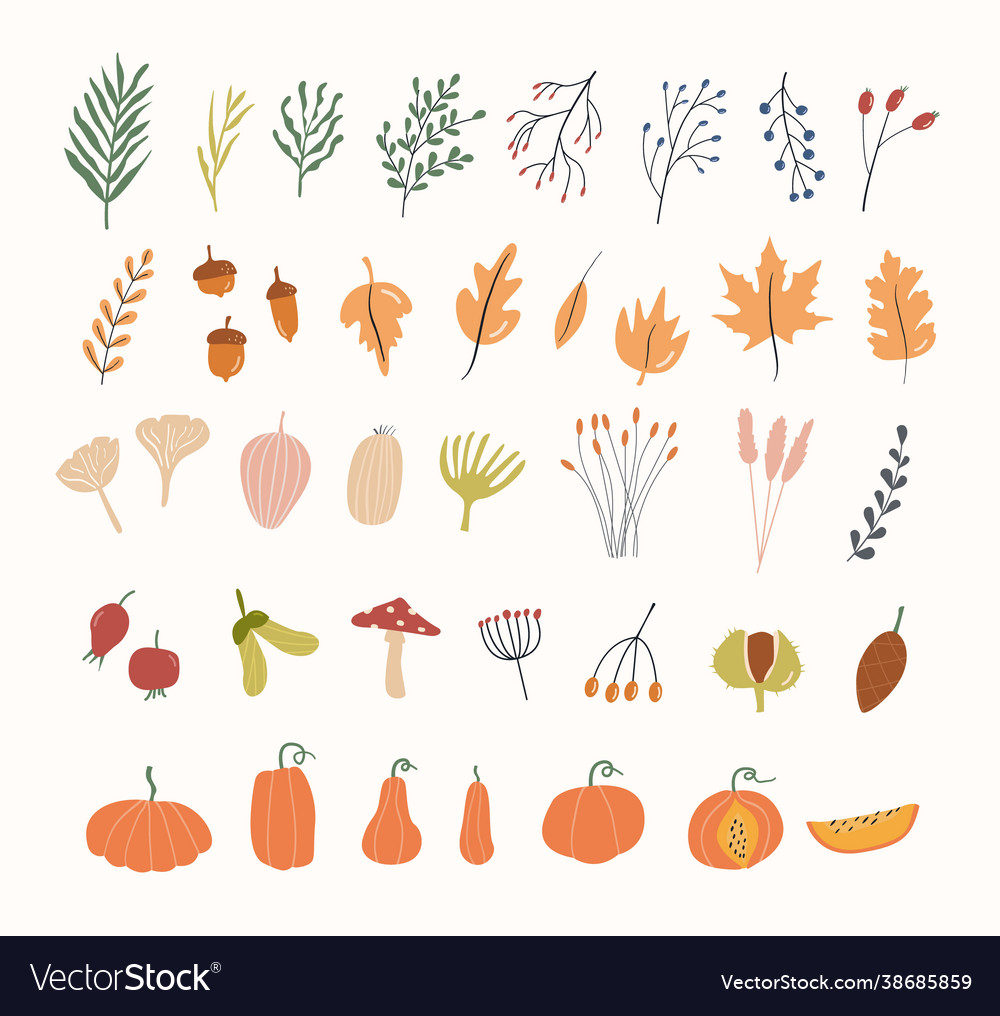 Set autumn herbarium different branches Royalty Free Vector