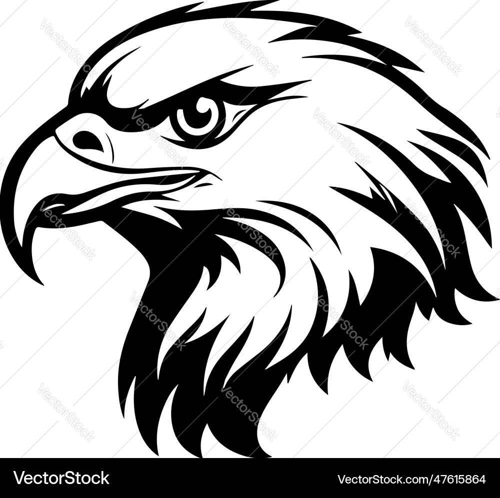 Bald Eagle Head Royalty Free Vector Image - VectorStock