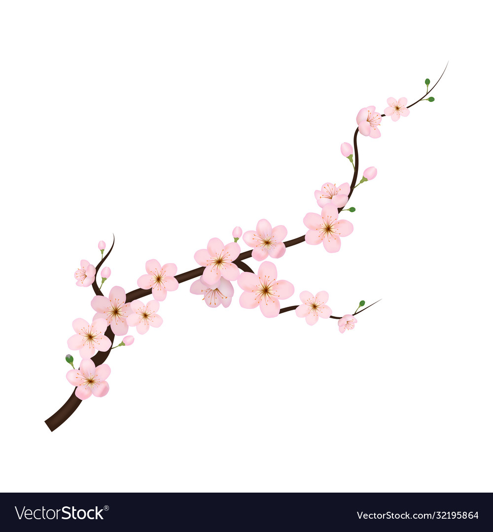 Blooming Cherry Blossom - Pink Petals