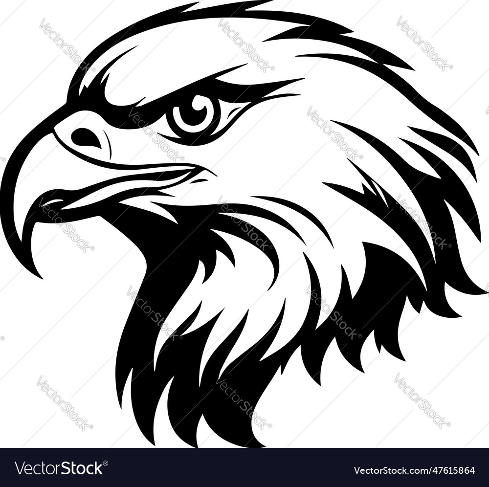 Eagle hawk bird head animal
