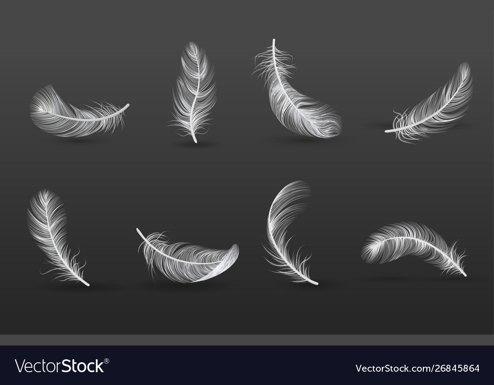 Realistic feather icon set Royalty Free Vector Image