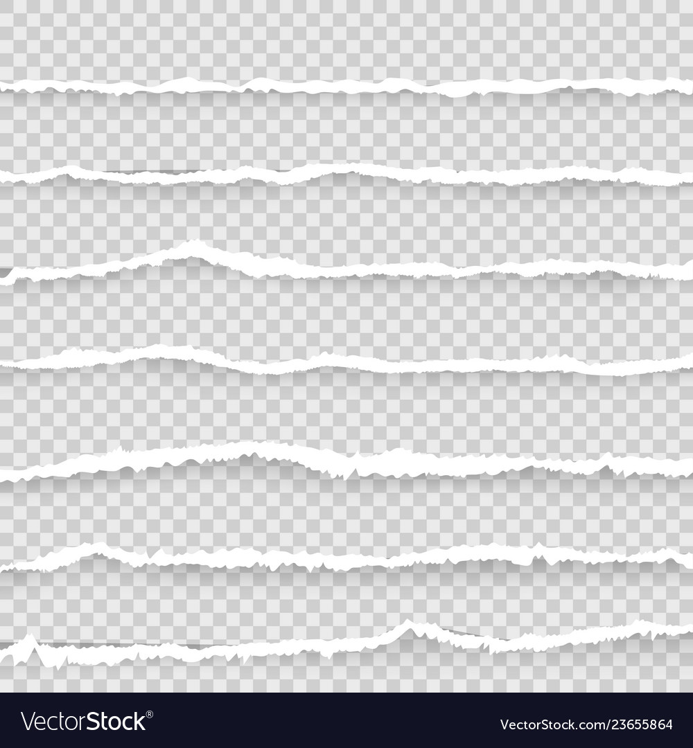 Gray ripped open paper with transparent Royalty Free Vector