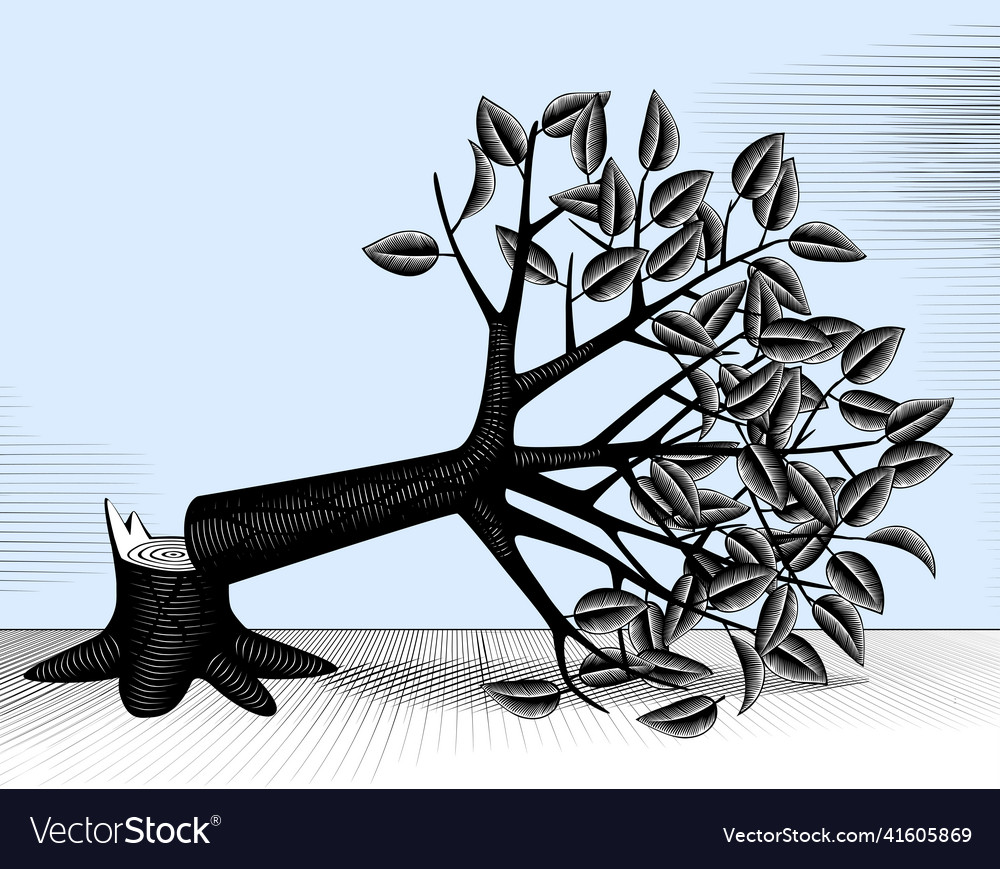 Fallen cut down tree with foliage and stump Vector Image