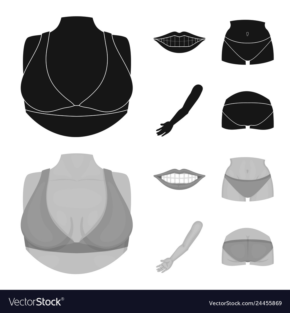 Isolated object of body and part logo collection vector image Isolated object of body and part logo collection
