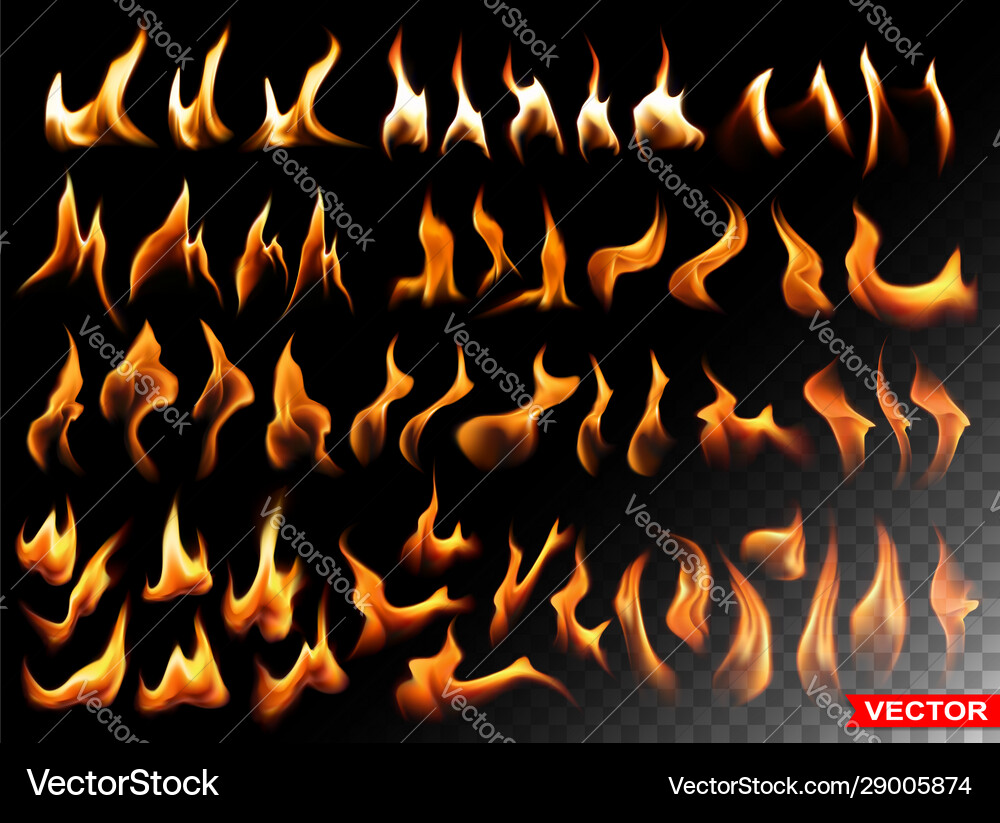 Realistic burning fire flames bright elements Vector Image