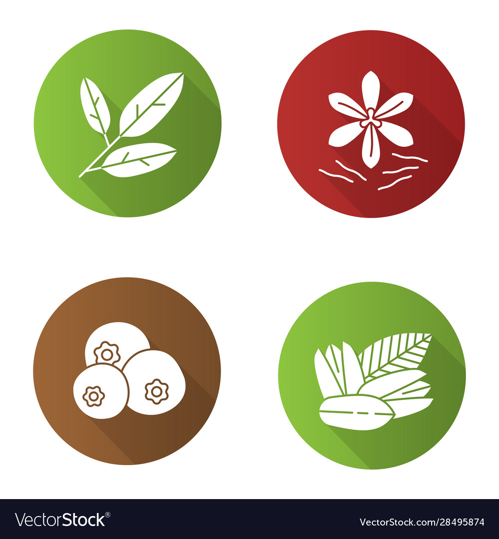 Spices flat design long shadow glyph icons set