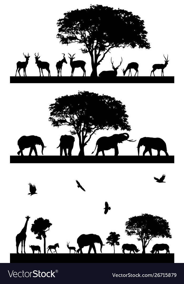 Black Animal Silhouettes