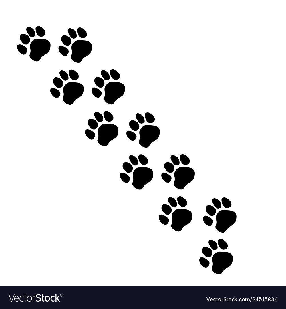 Cute Paw Prints Logo