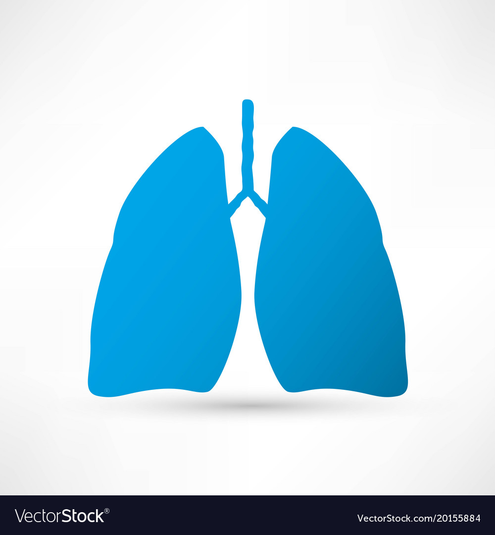 Human lung icon Royalty Free Vector Image - VectorStock