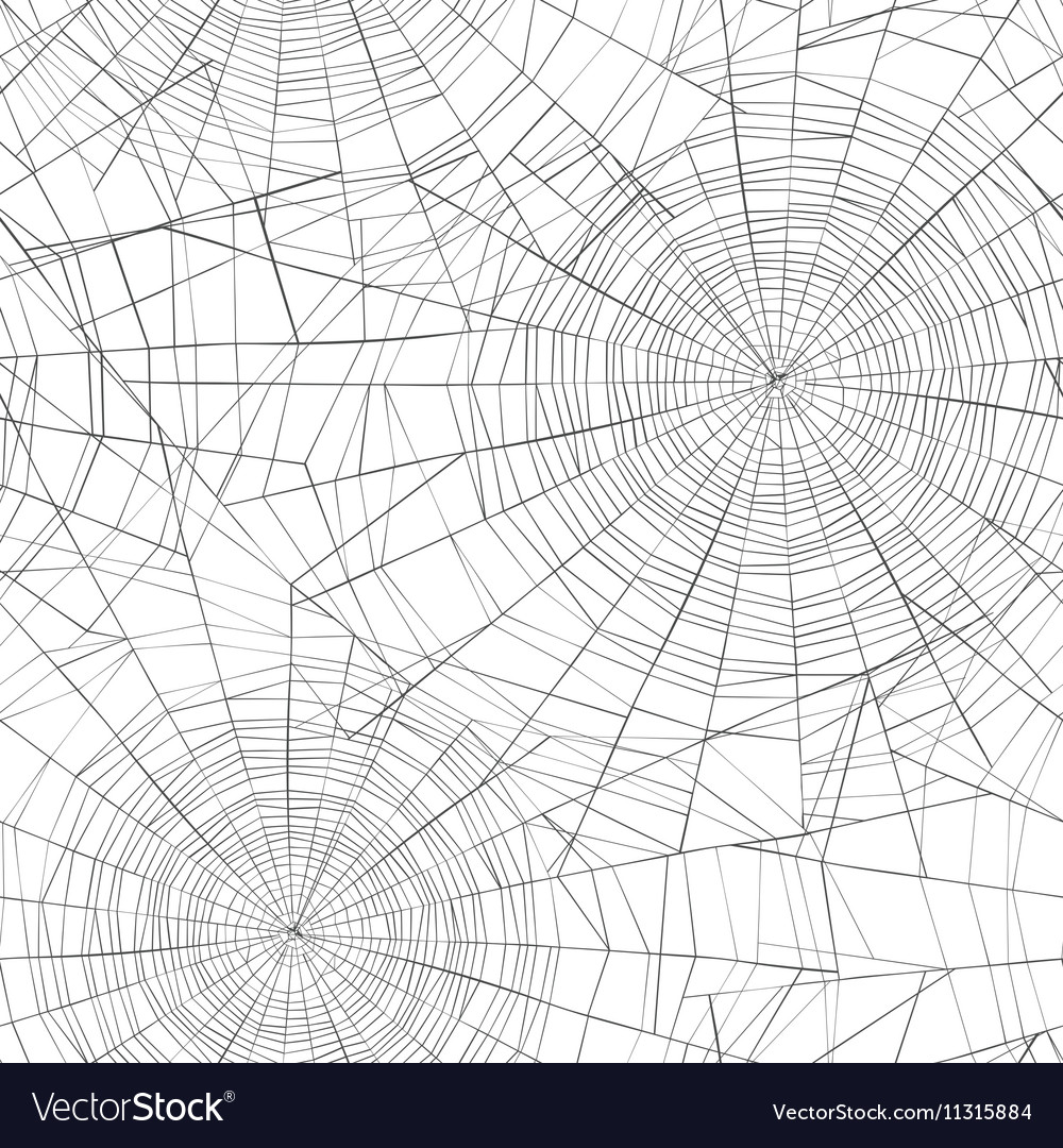 Spider web halloween hintergrund