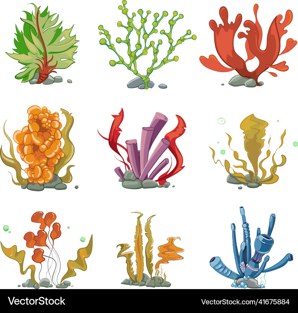 Underwater plants in cartoon style Royalty Free Vector Image