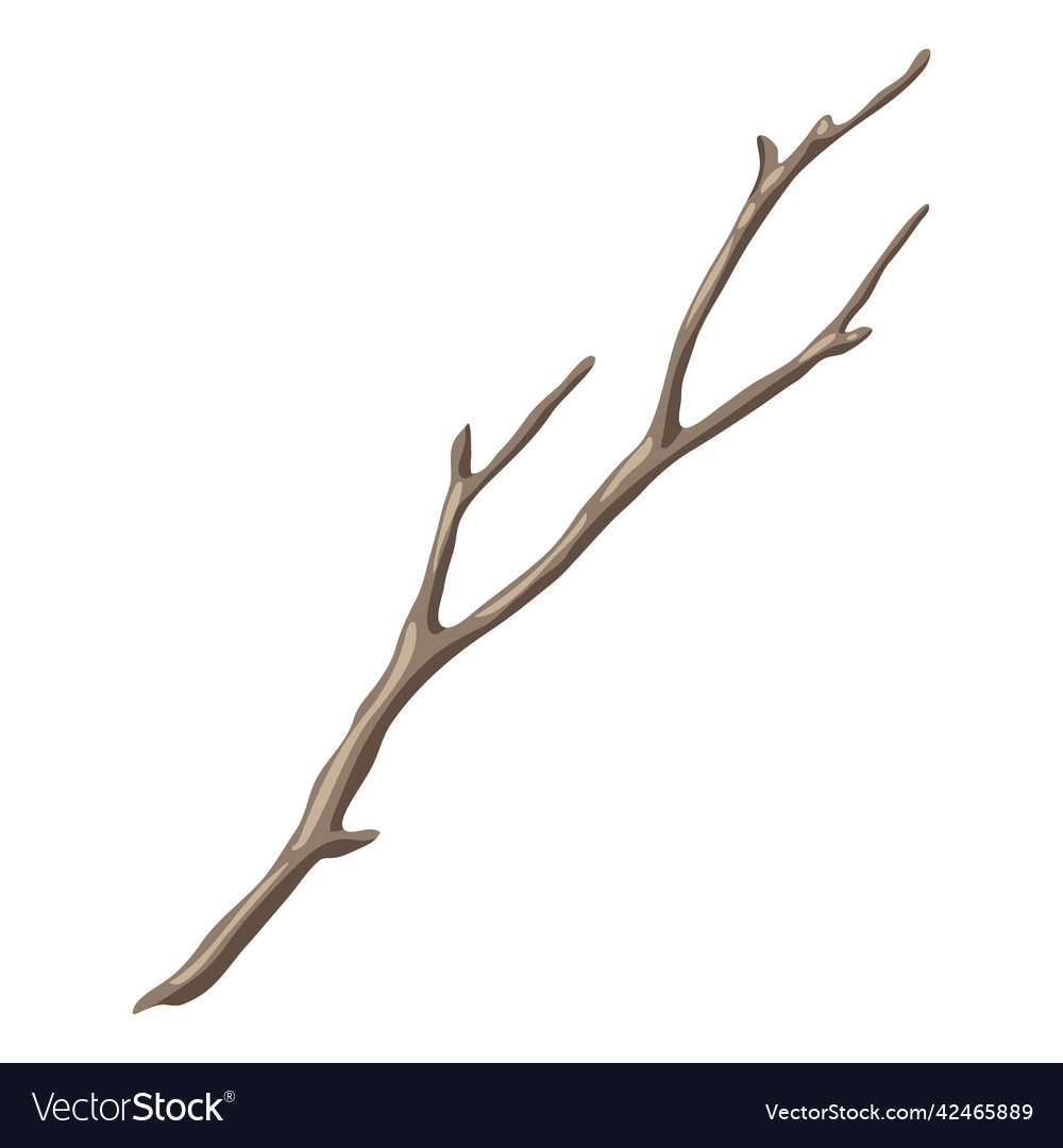 Dry bare branch decorative