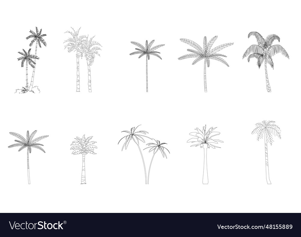 Baum Linie Zeichnung Seitenansicht Grafik