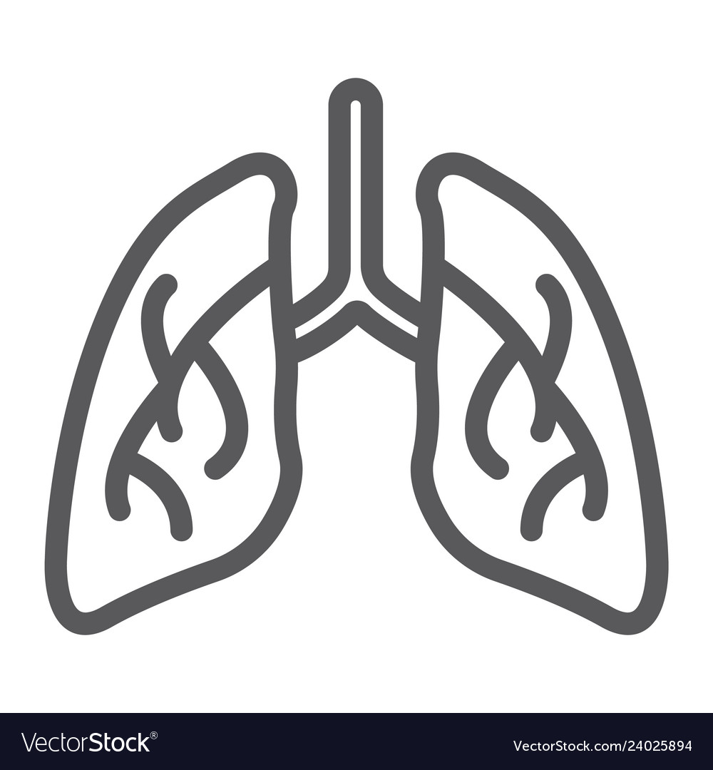 Lungs line icon biology and body organ sign Vector Image