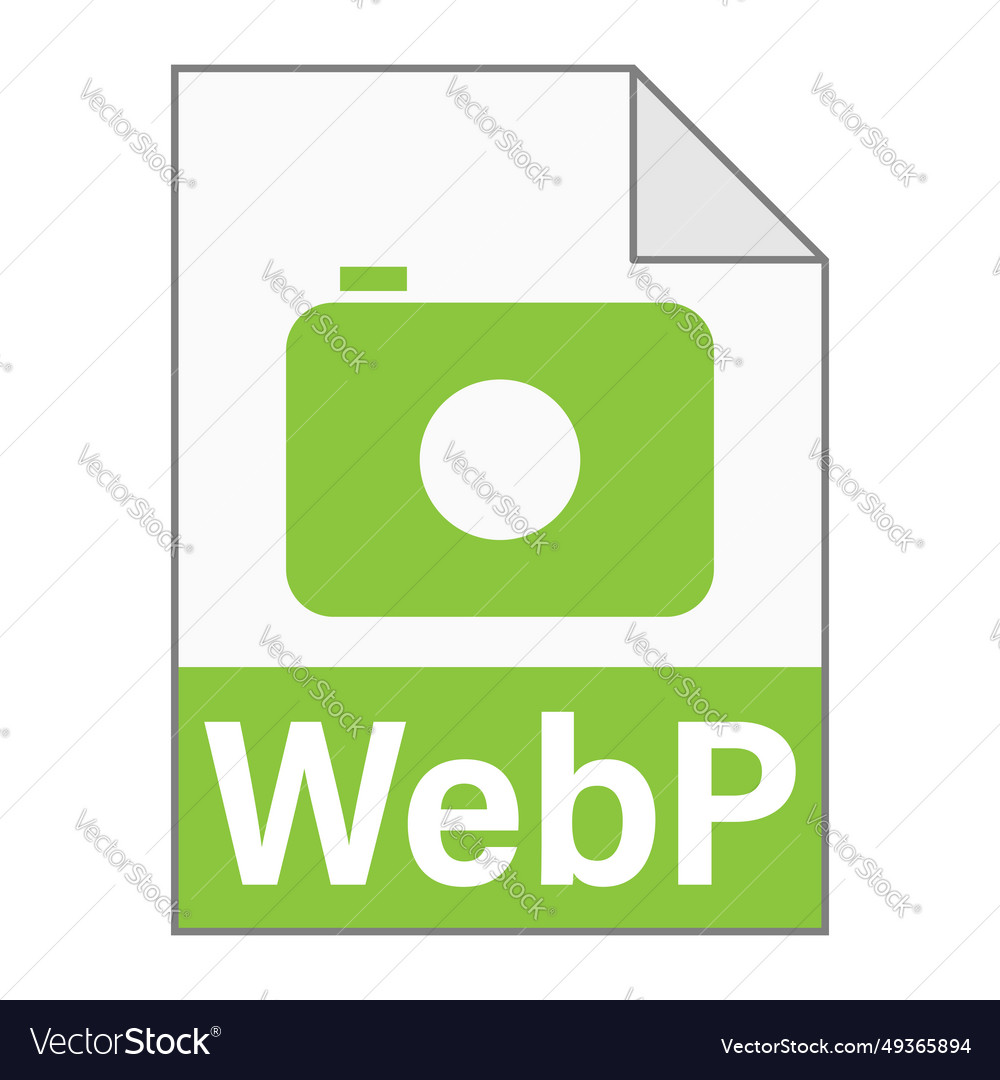 Modern flat design of webp file icon for web