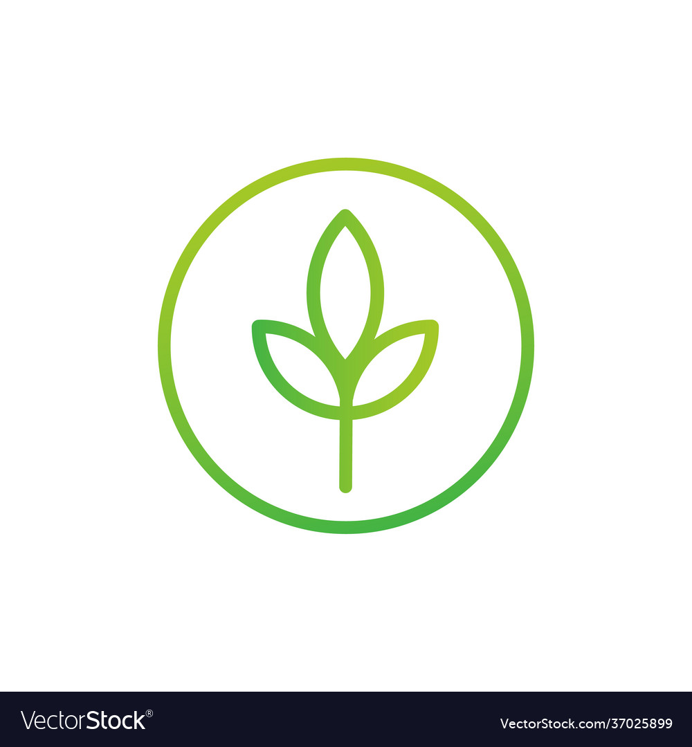 Green plant in circle logo template abstract