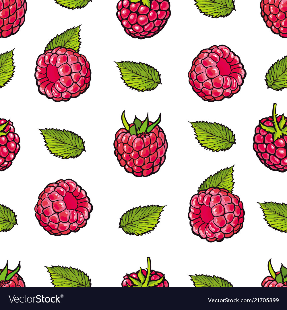 Raspberry Seamless Pattern - Fresh Berries