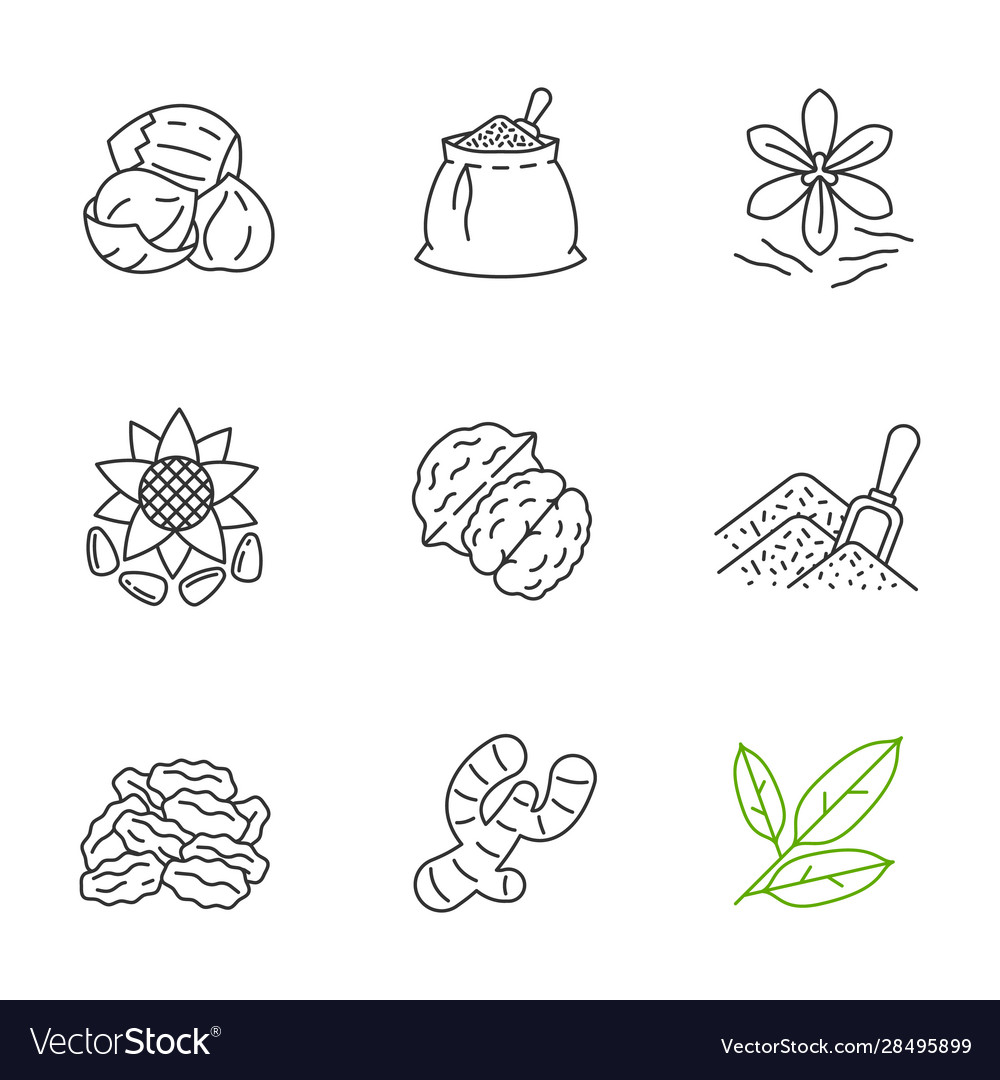 Spices linear icons set Vector Image Spices linear icons set