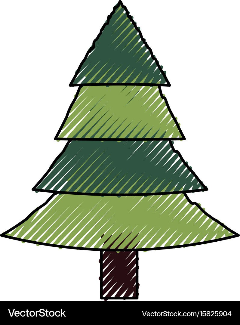 Tree pine isolated Royalty Free Vector Image - VectorStock