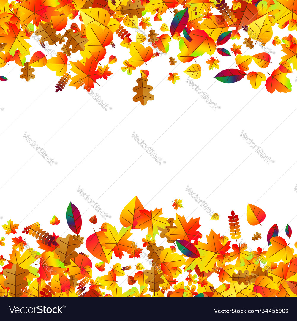 Autumn leaves scattered background oak maple Vector Image