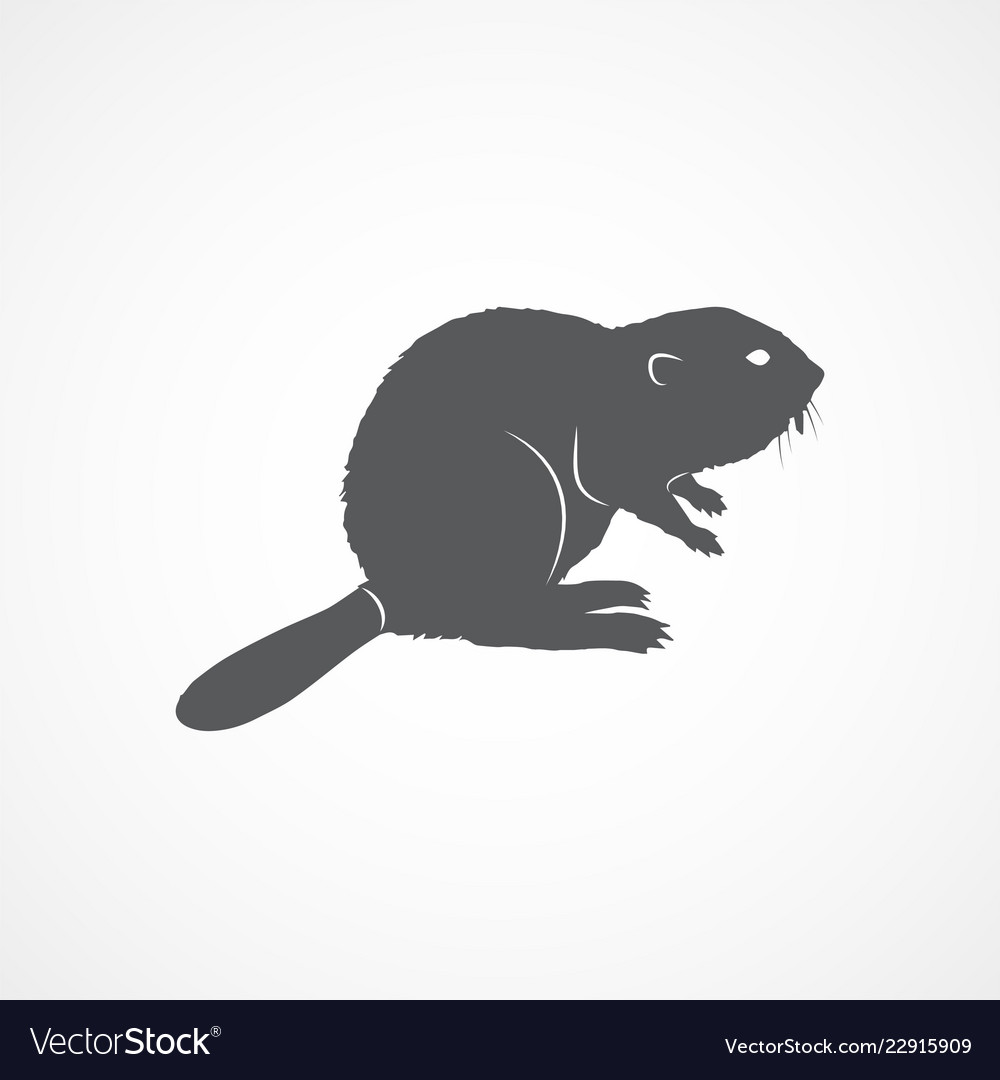 Beaver flat icon Royalty Free Vector Image - VectorStock