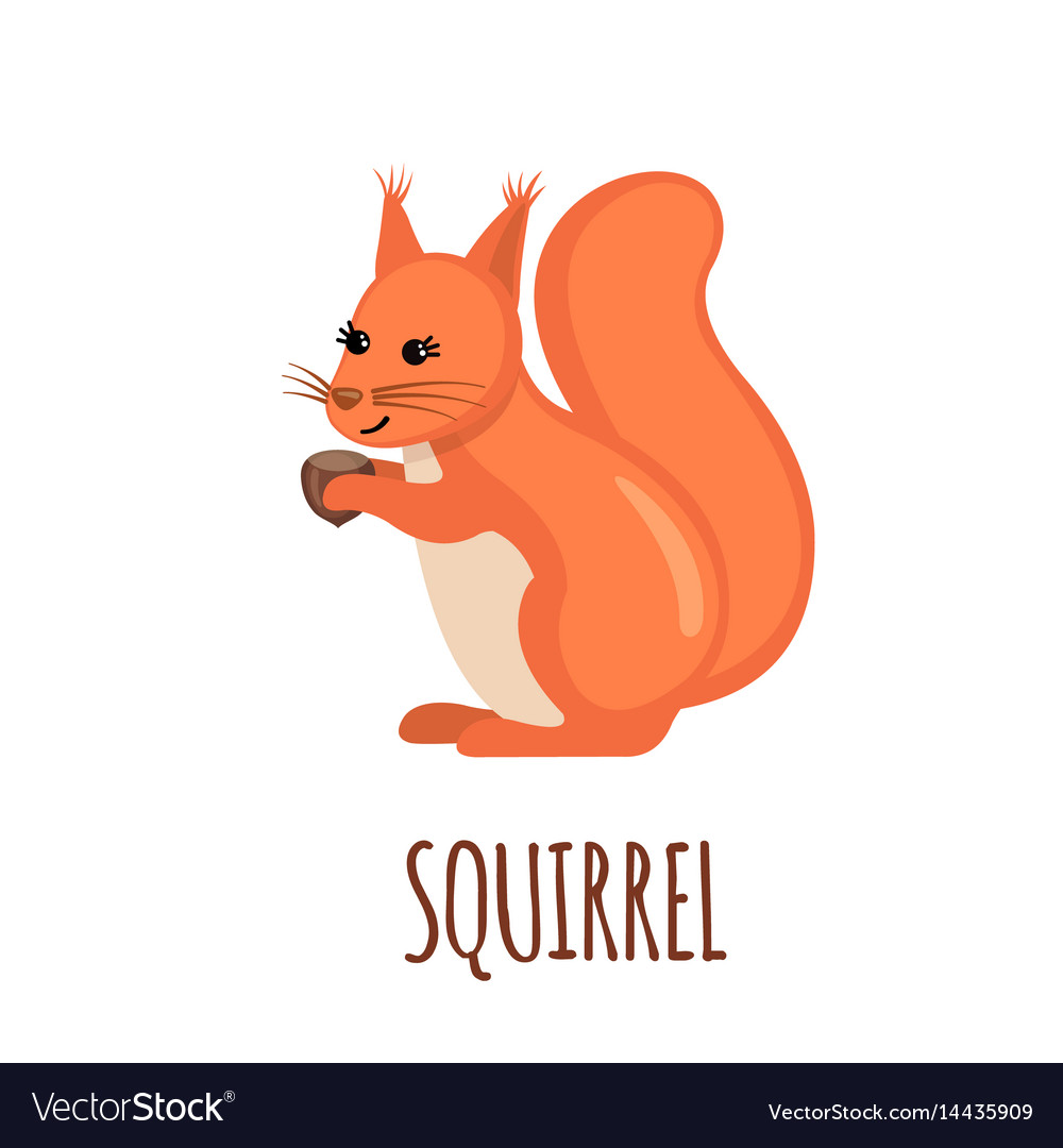 Charming Squirrel Cartoon