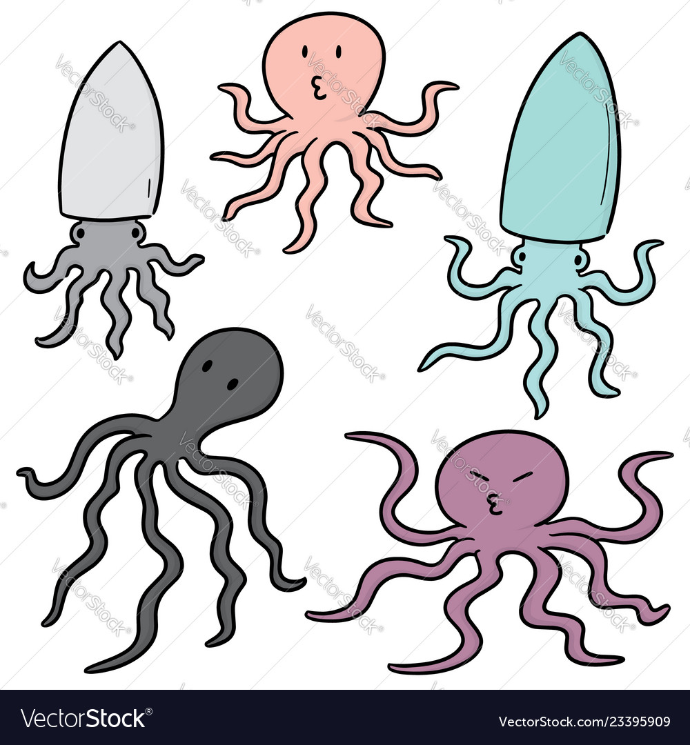 Set of squids