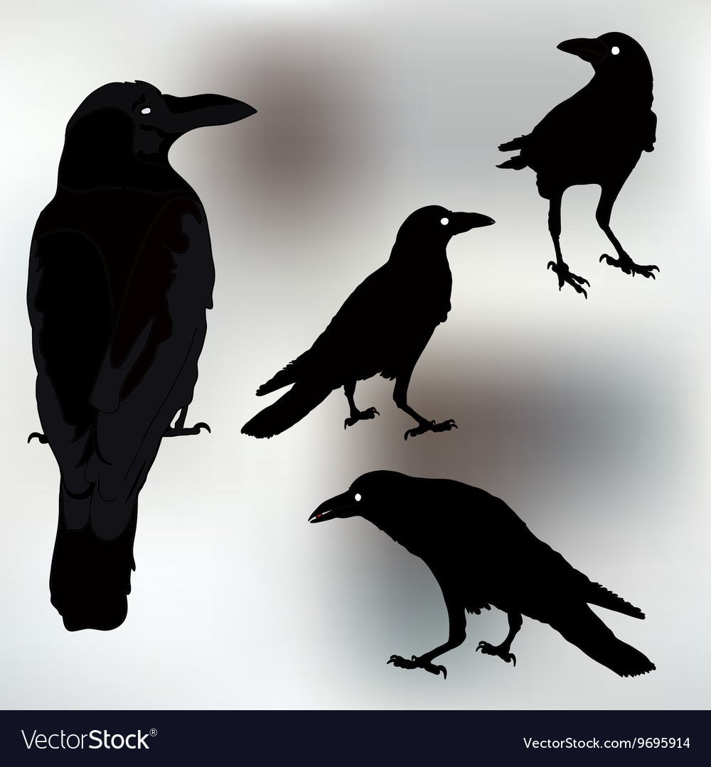 Crow Silhouettes - Black Birds