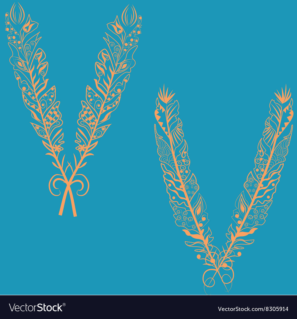 Feathers in boho style
