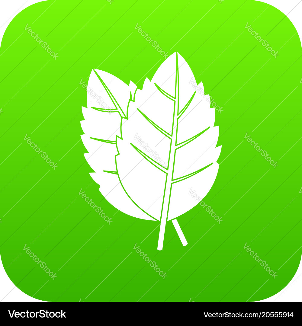 Two basil leaves icon digital green Royalty Free Vector