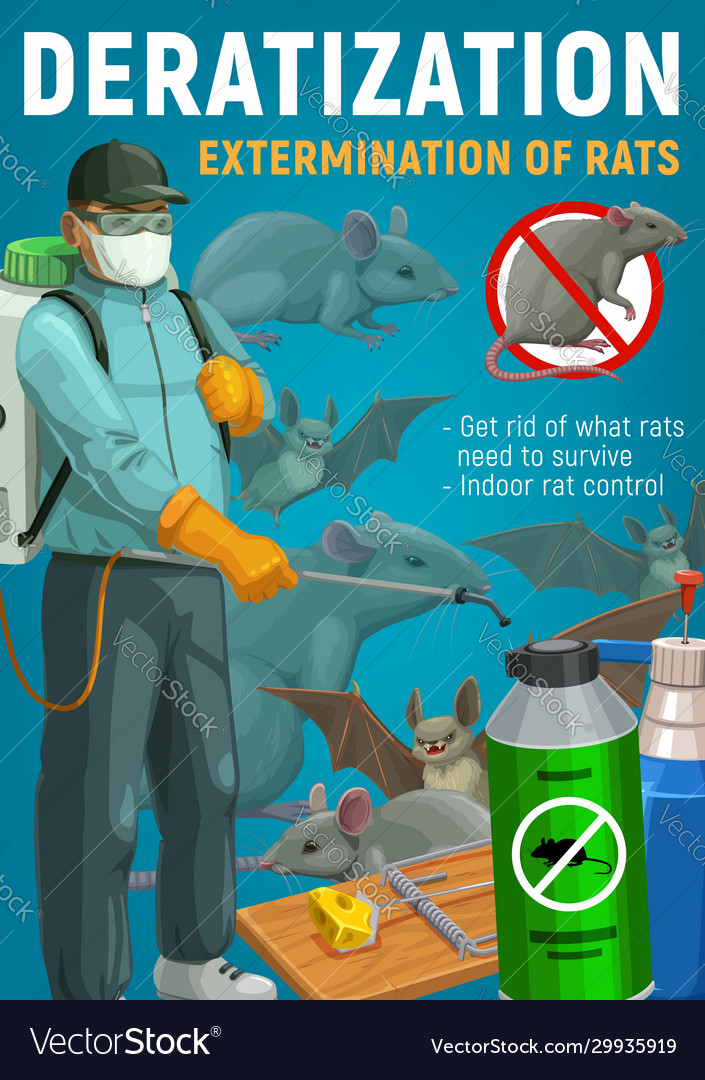 Rat control services - Western Exterminator