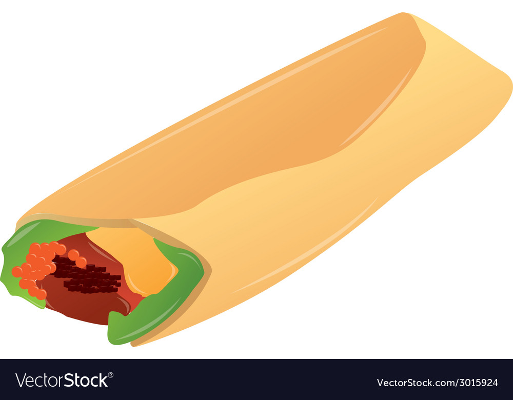 An isolated burrito on a white background Vector Image