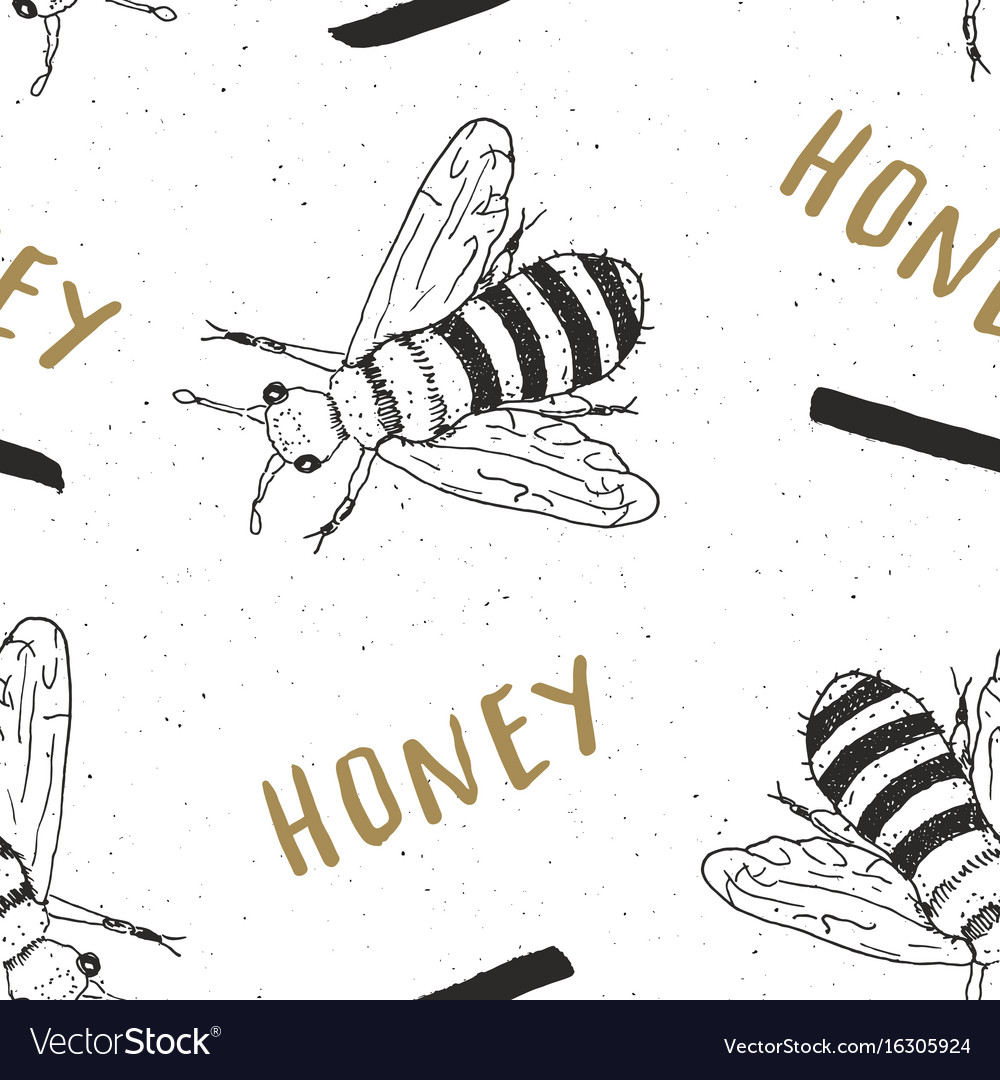 Bee hand drawn seamless pattern with word honey