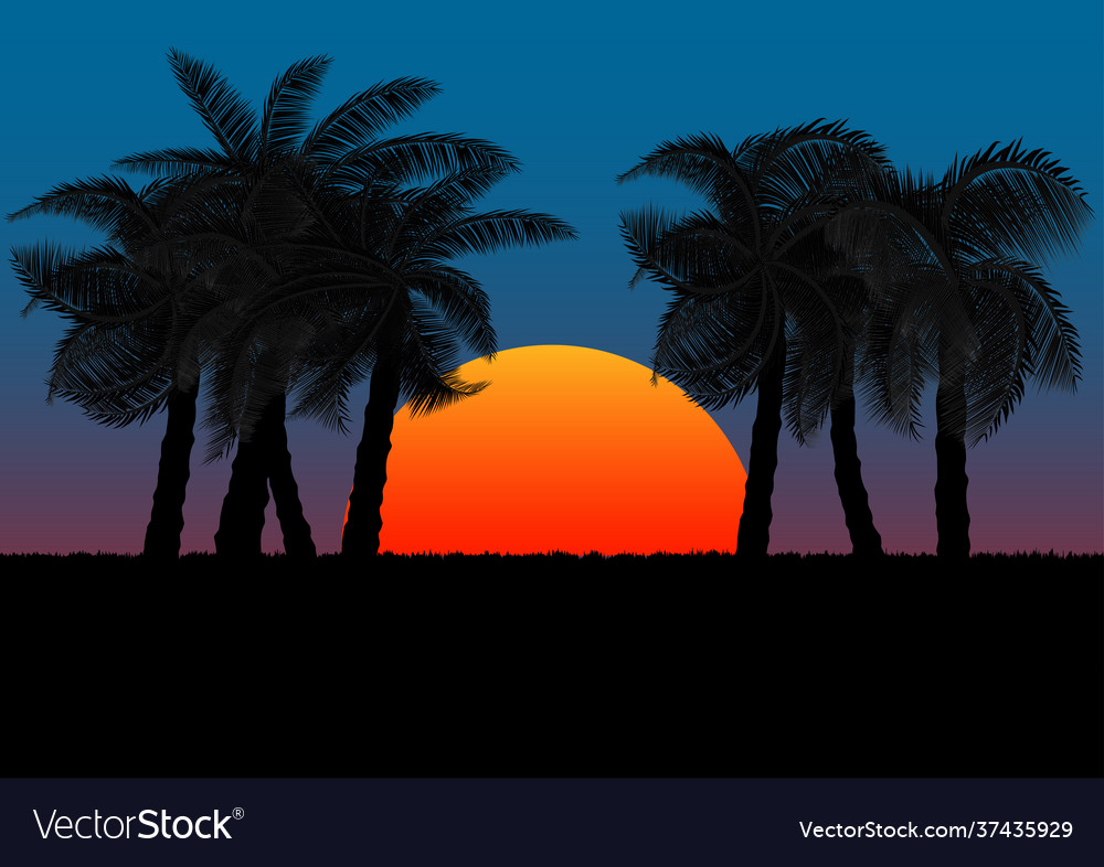 Graphics image coconut tree with sunset