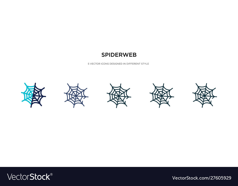 Spiderweb icon in different style two colored
