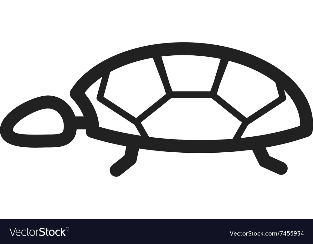 Turtle Royalty Free Vector Image - VectorStock