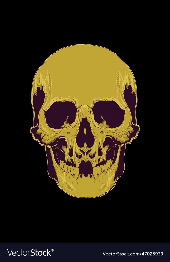 Head skull artwork