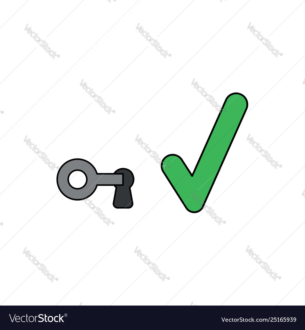 Icon concept key in keyhole with check mark vector image Icon concept key in keyhole with check mark