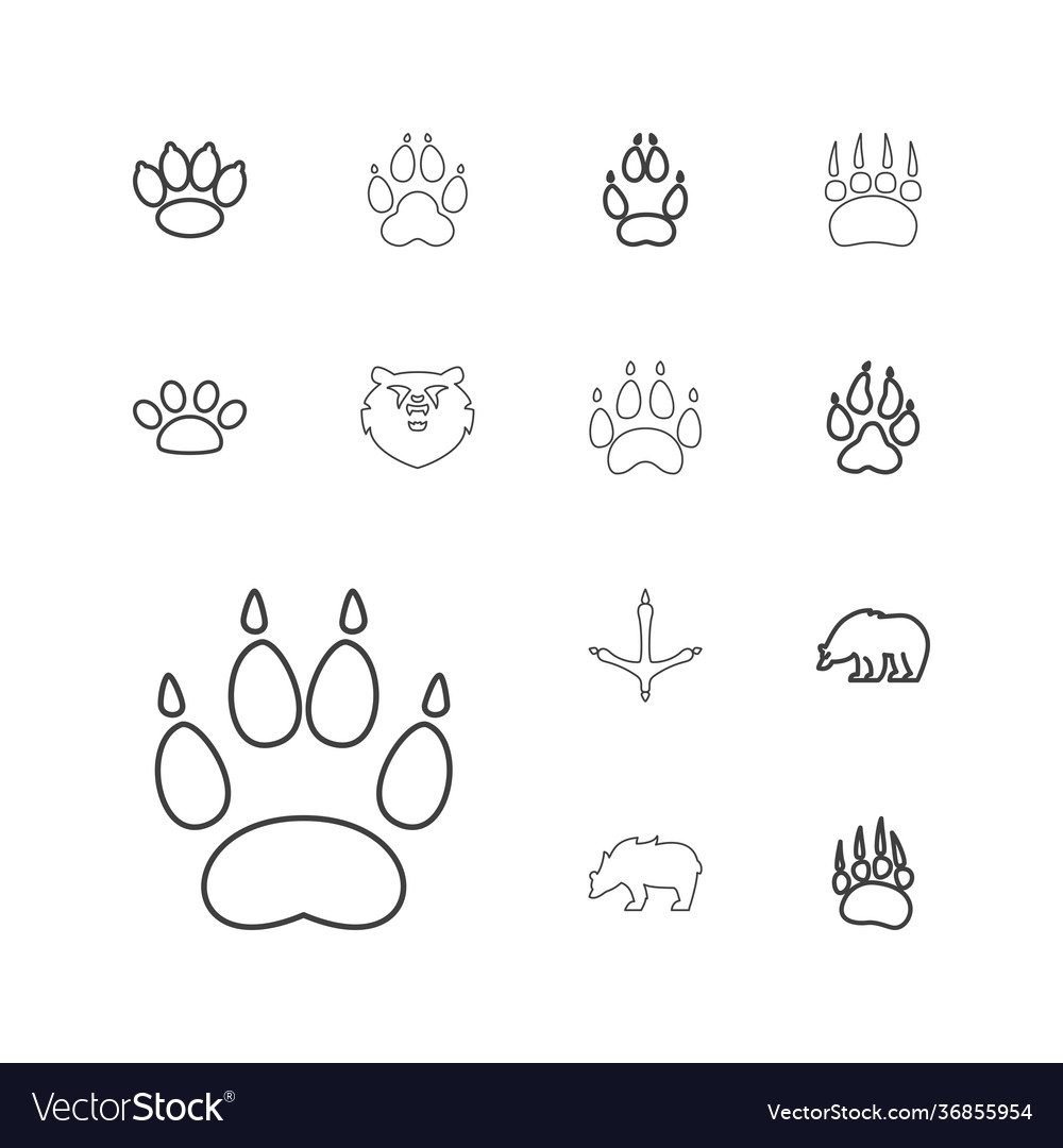 Paw icons