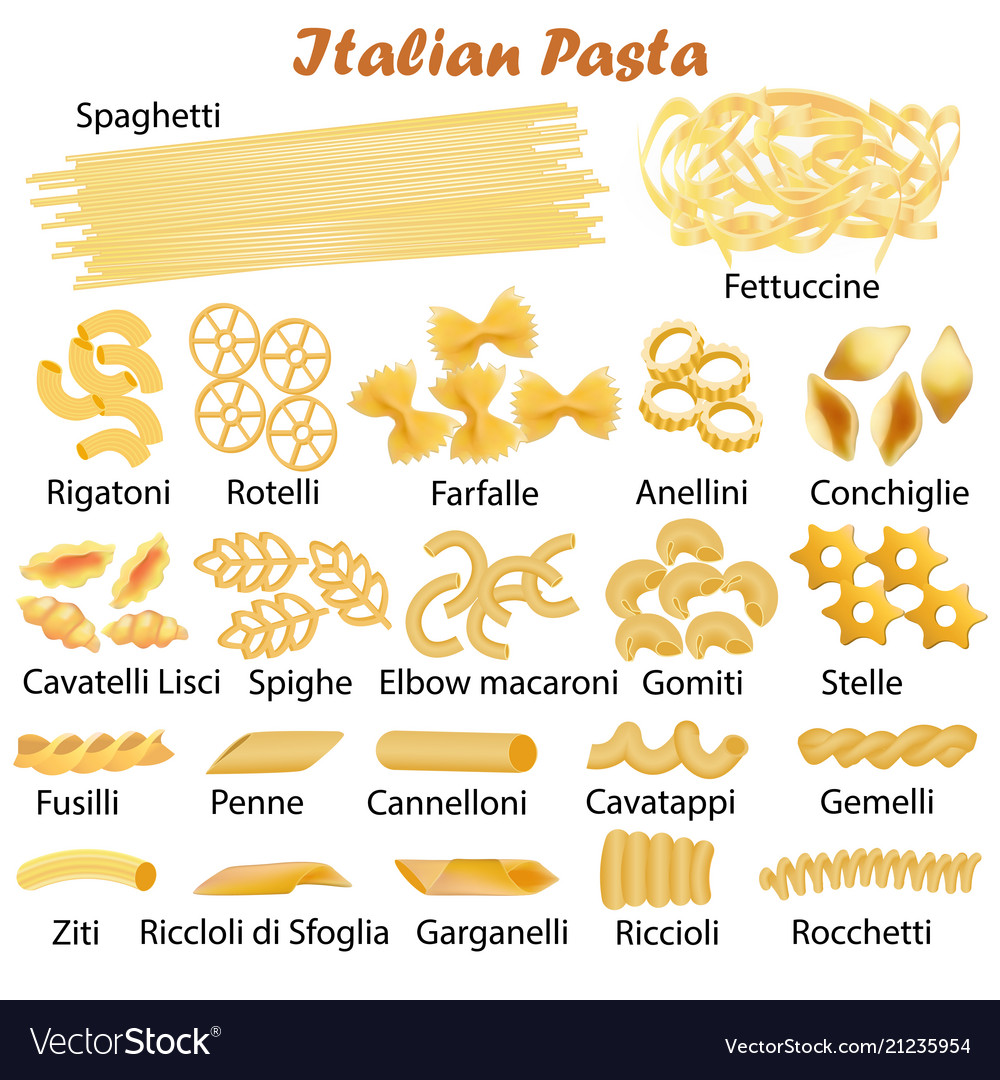 Set Of Kinds Italian Pasta Royalty Free Vector Image