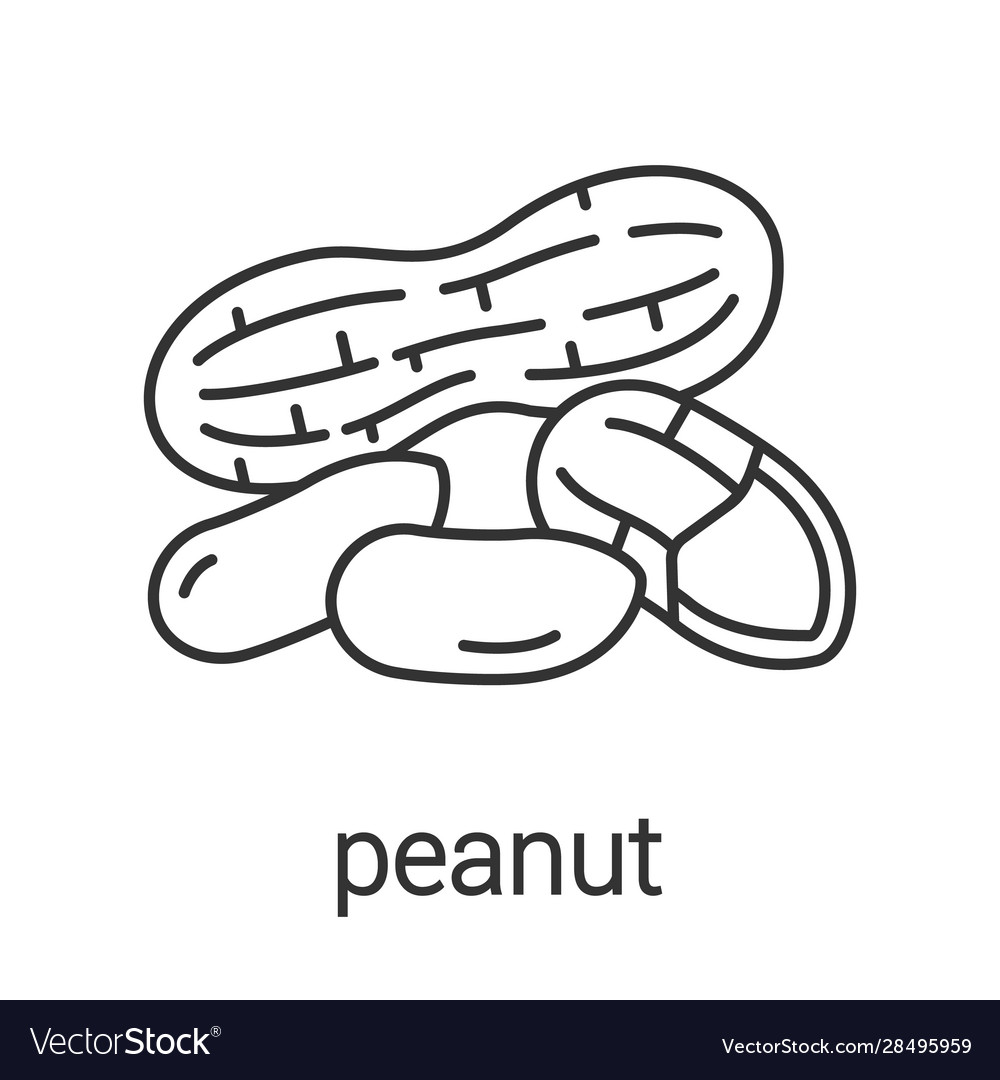 Peanut Icon - Linear Style