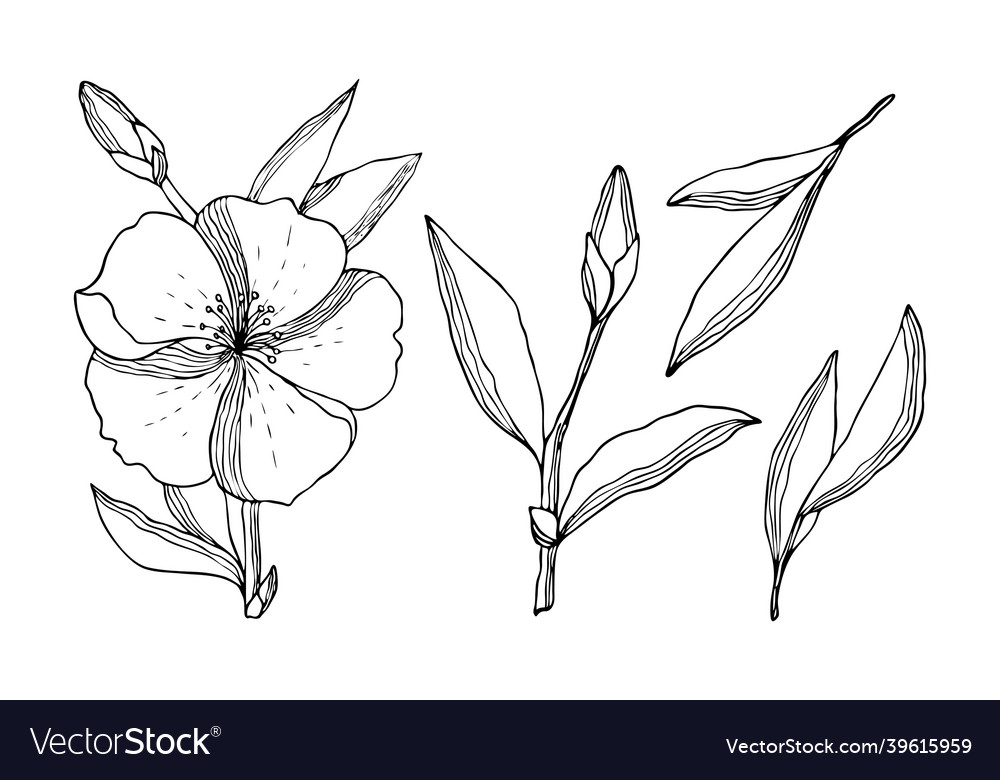 Set of flowers leaves bud twig in the style